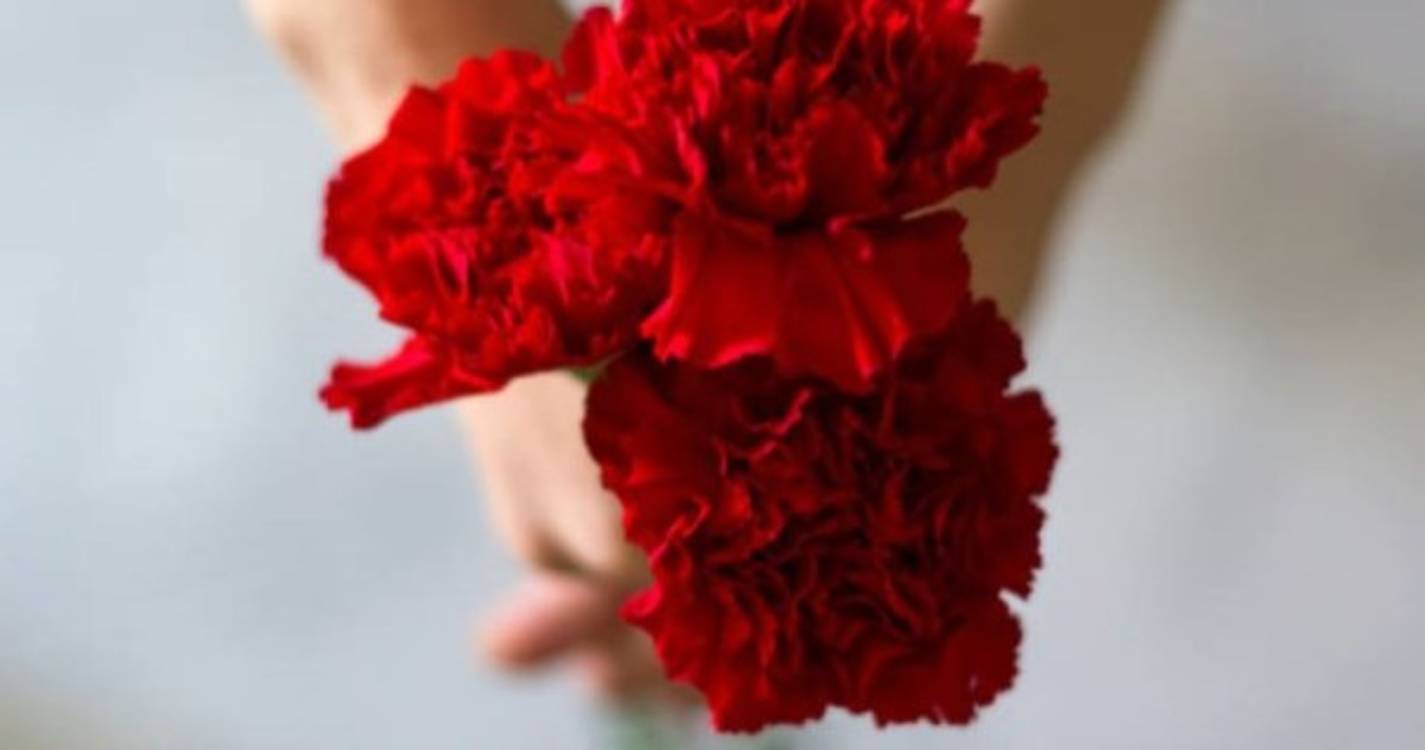 Exposição "Mulheres de Abril" inaugurada na Galeria Anjos Teixeira a 18 de abril