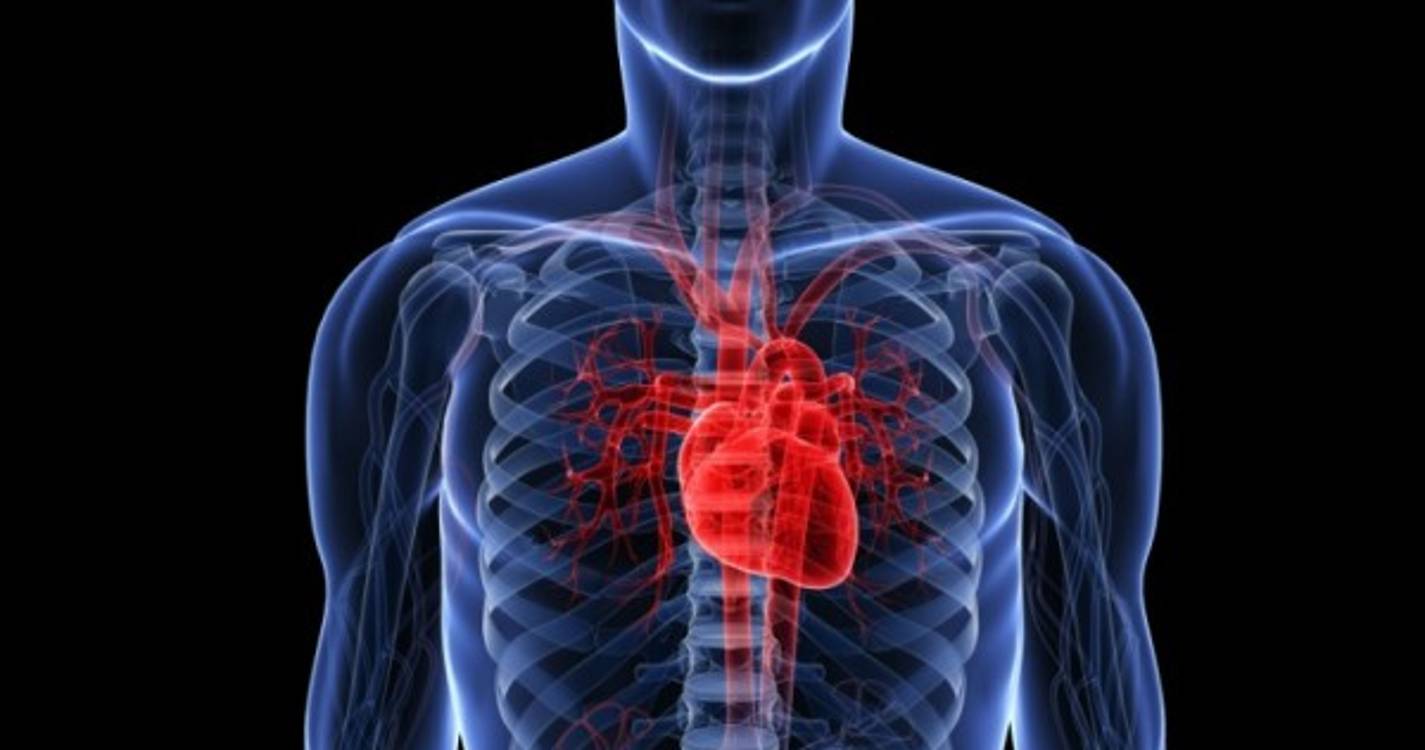 Doenças circulatórias foram principais causas dos óbitos em 2019