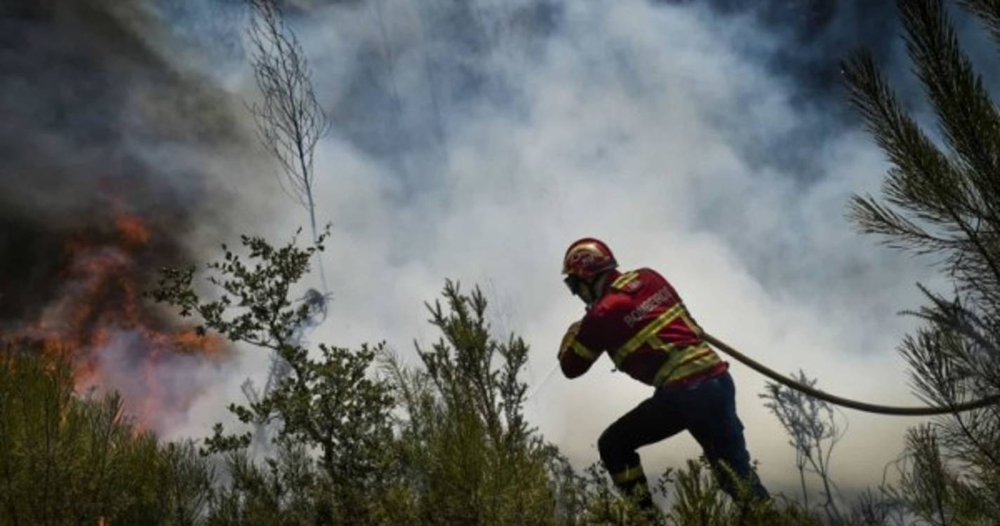 Incêndio: Fogo no concelho de Silves entrou em resolução às 09:00