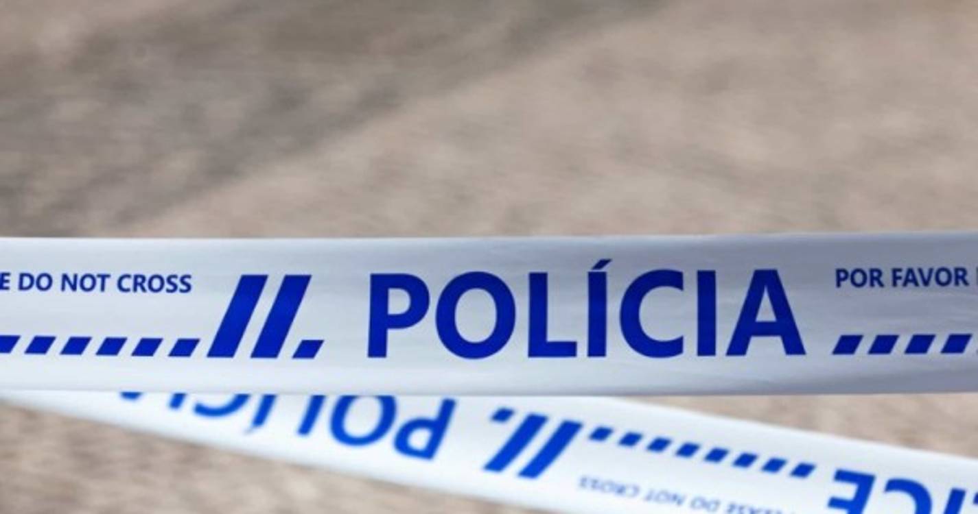 Jovem ferido após disparos junto a escola de Loures