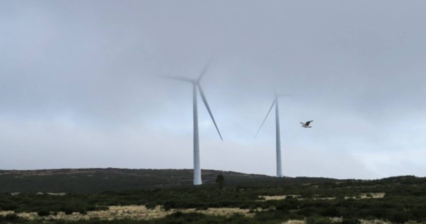 Produção de energia elétrica aumentou 12,2% na Madeira