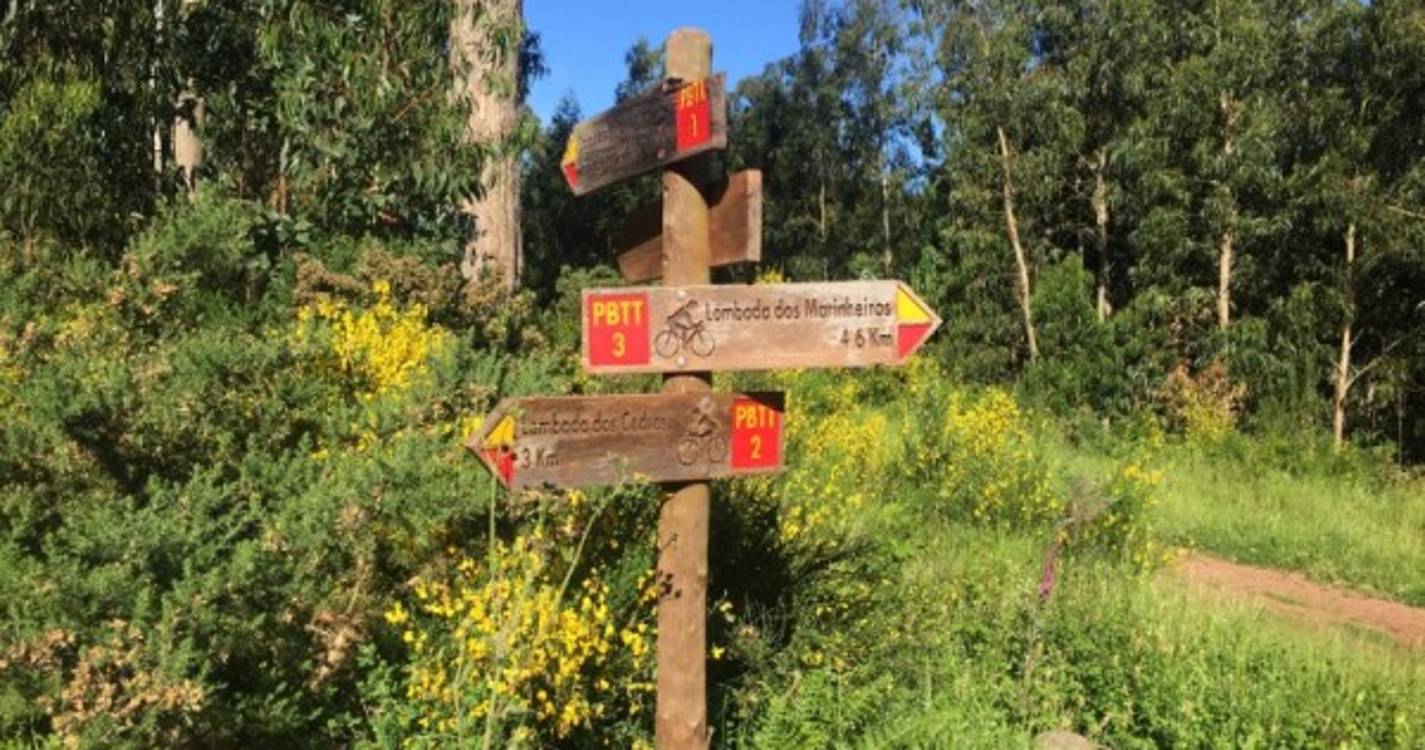 Instituto das Florestas encerra todos os percursos pedestres