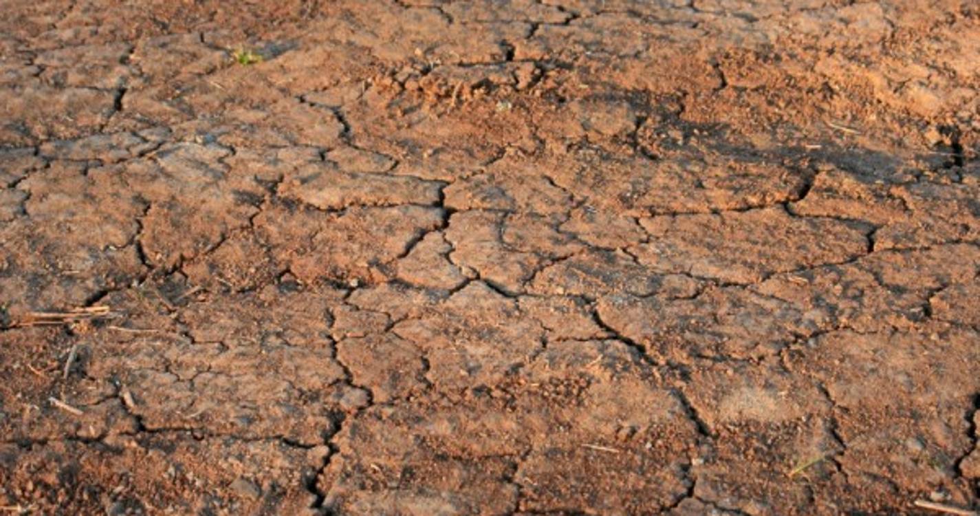 Seca: Municípios do Baixo Alentejo apresentam pacote de medidas ao governo