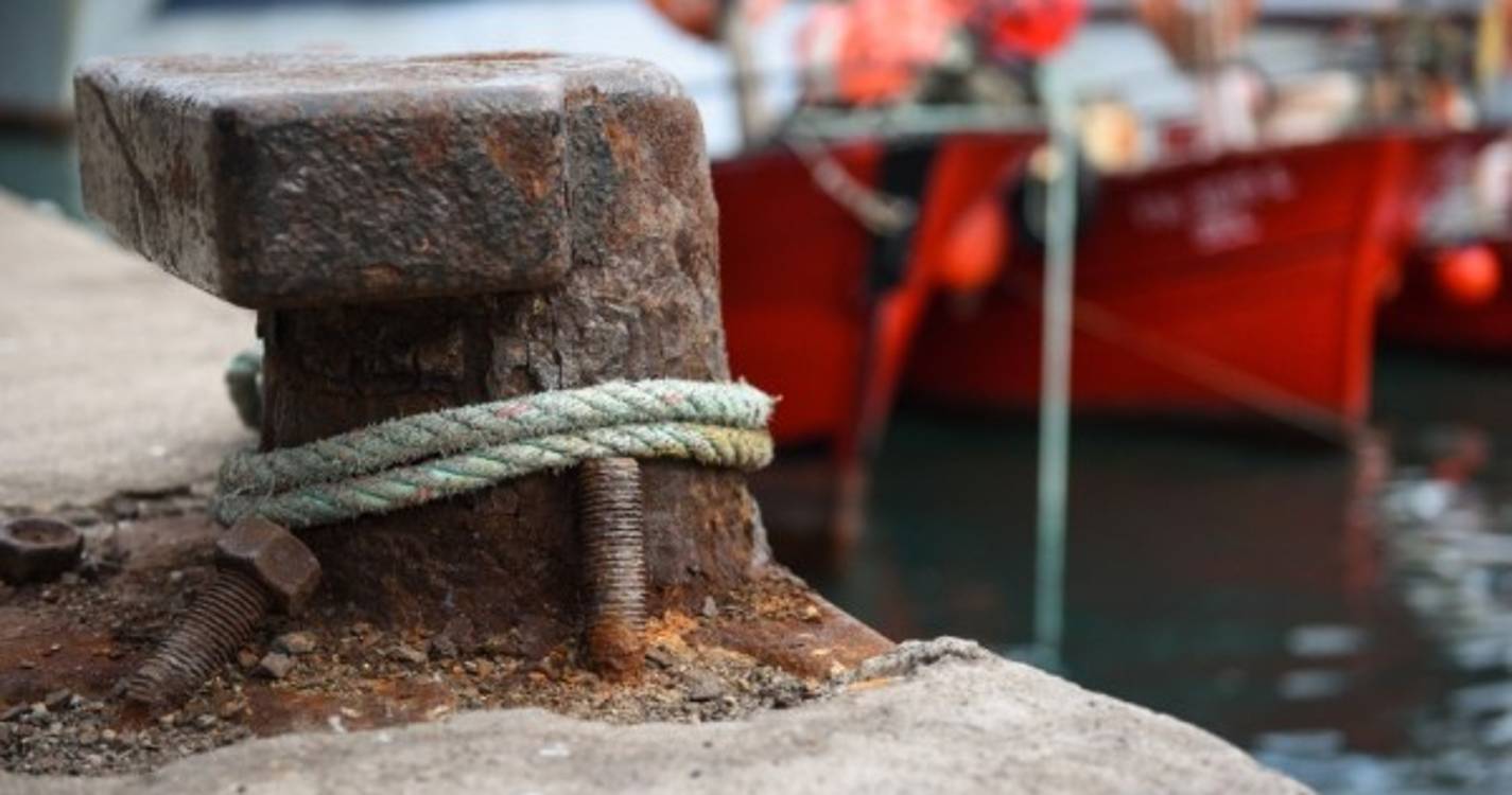 Conselho consultivo reivindica quotas de pesca específicas para regiões ultraperiféricas