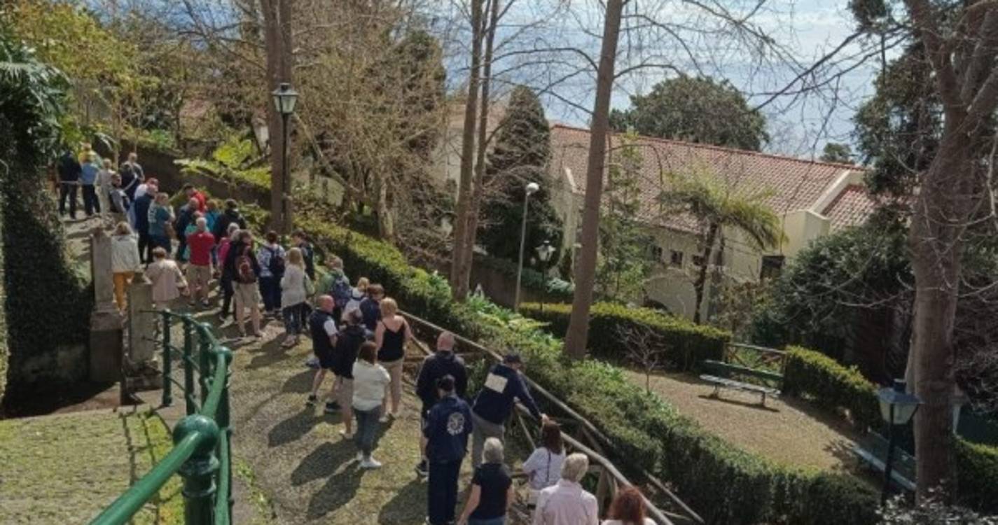 Longas filas no Monte para as descidas em carros de cesto