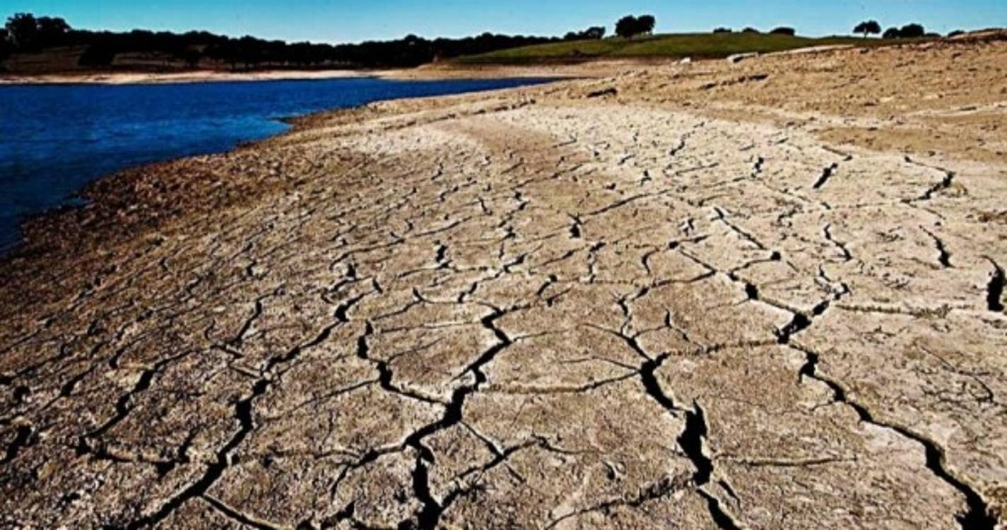 Seca: Ministério da Agricultura reconhece que situação afeta 40% do país