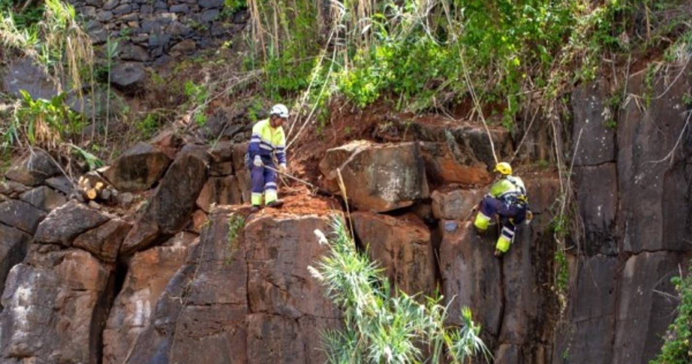 CMF acompanha limpeza de taludes