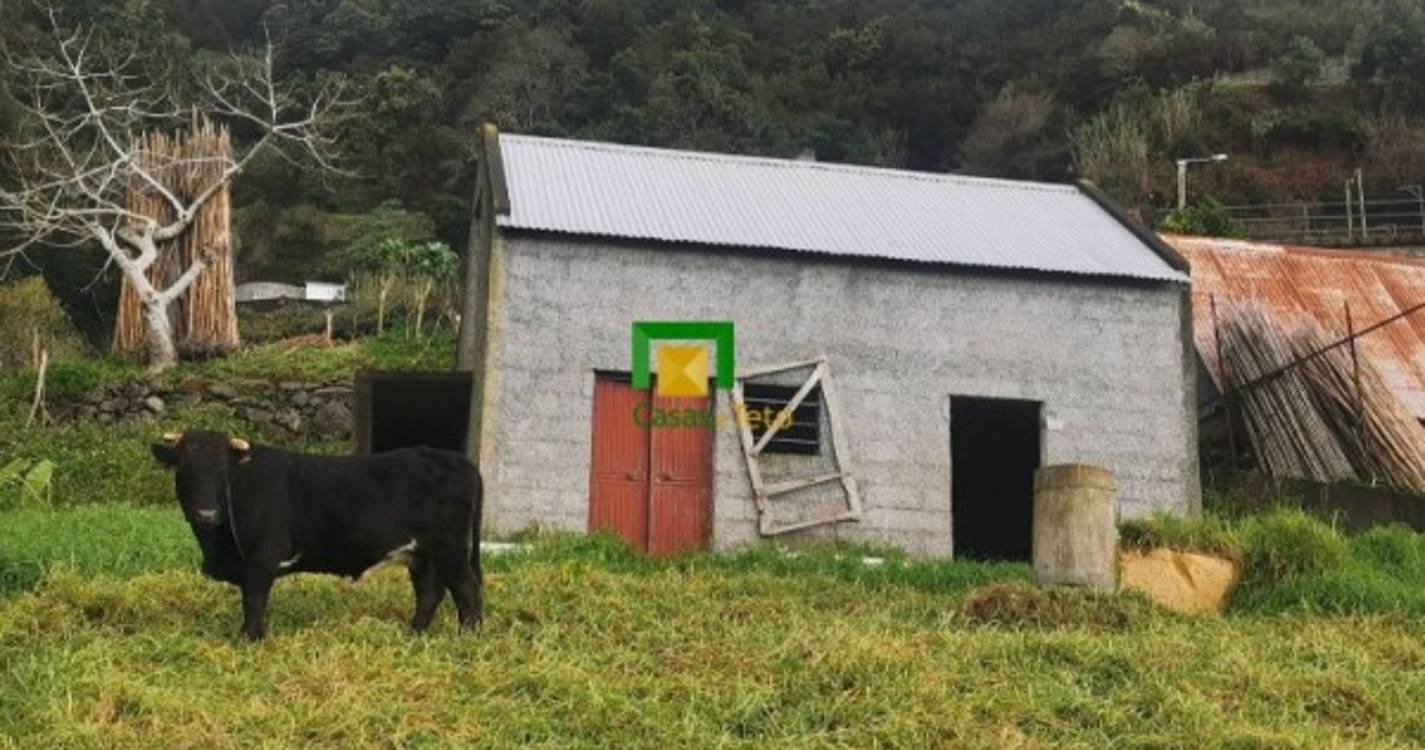 Amplo Terreno de bons ares no Faial