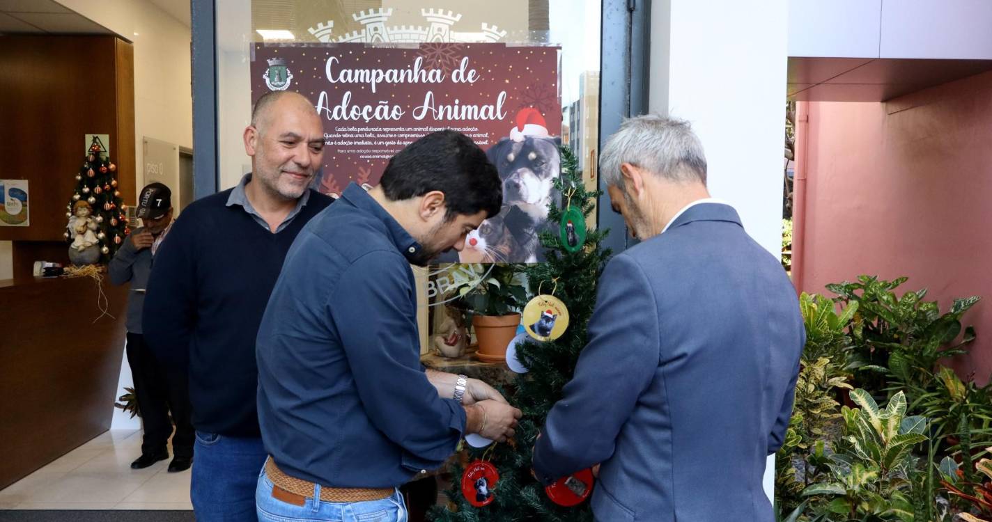 Ribeira Brava lança campanha natalícia de sensibilização animal