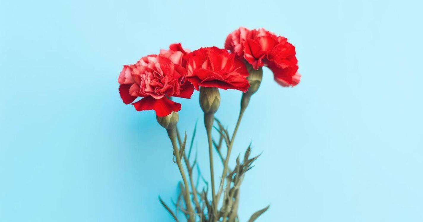 25 Abril: Liberdade de expressão celebra 50 anos com desafios e lutas pela frente