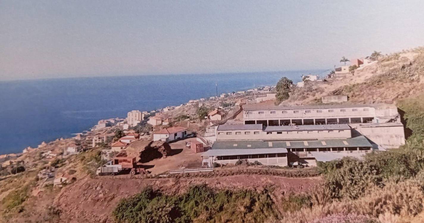 Autárquicas: BE compromete-se a pressionar saída da vacaria do sítio da Mãe de Deus