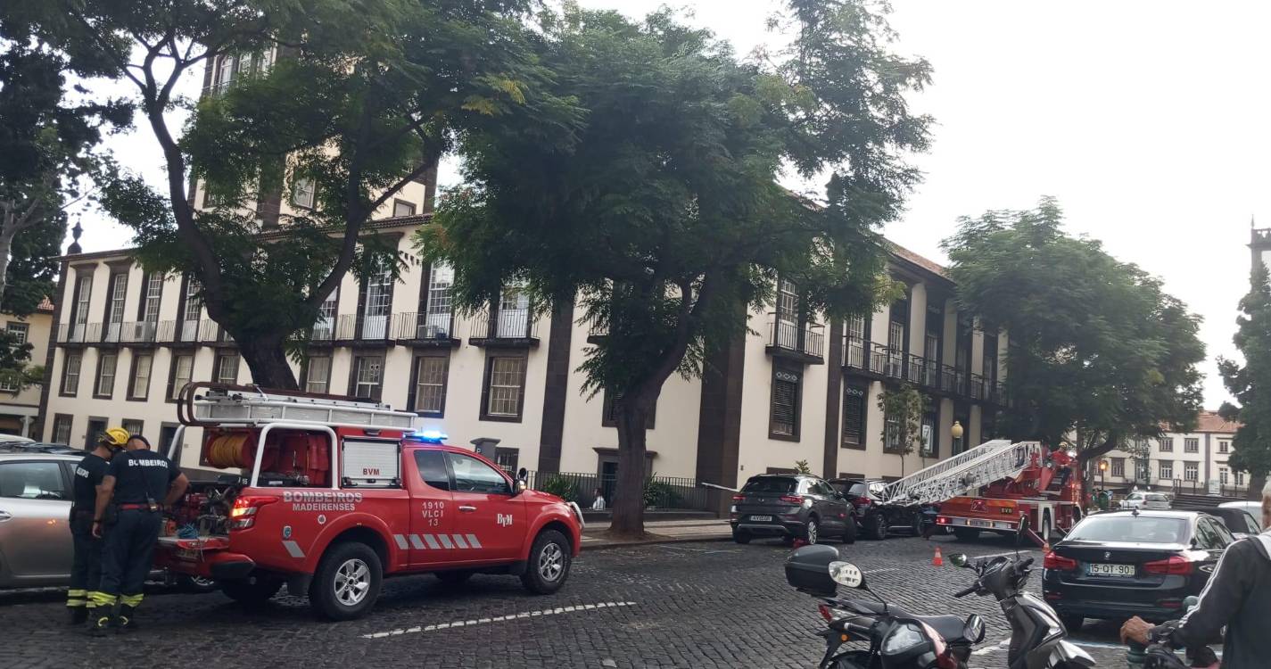 Bombeiros retiram galho de árvore junto ao tribunal