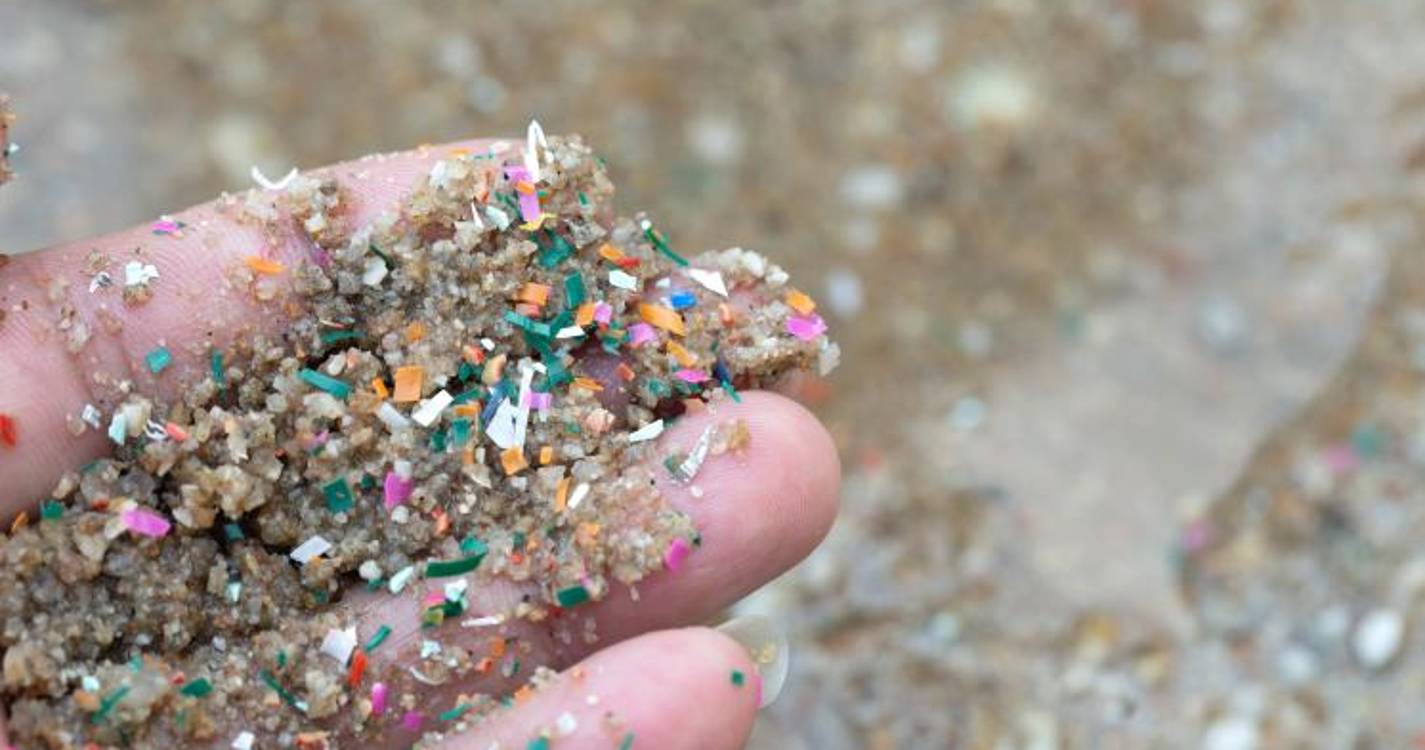 ARDITI apresenta projeto internacional para reforçar monitorização de microplásticos na Macaronésia