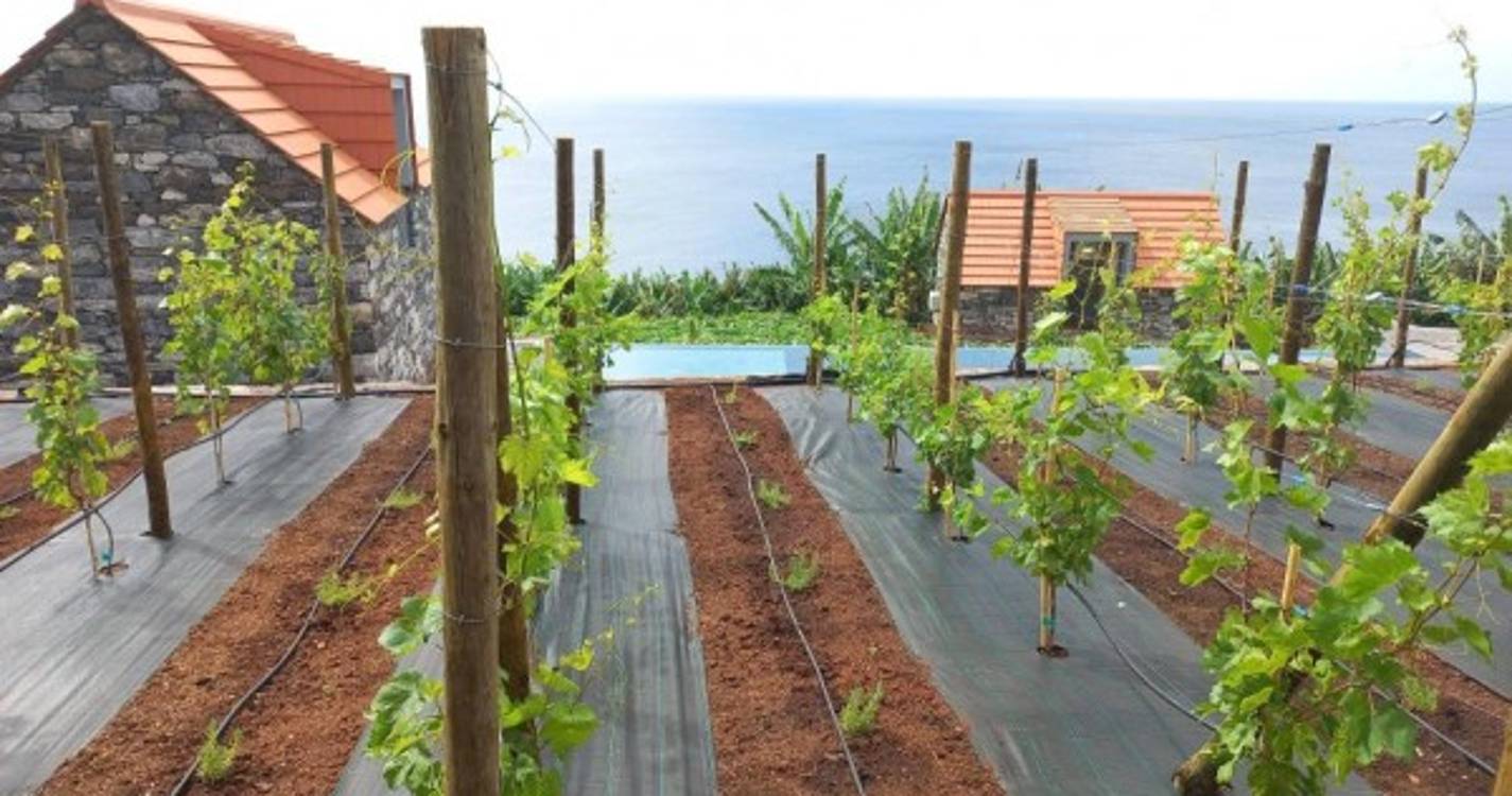 Meio milhão de euros reabilitam Casas do Laranjo (c/fotos)