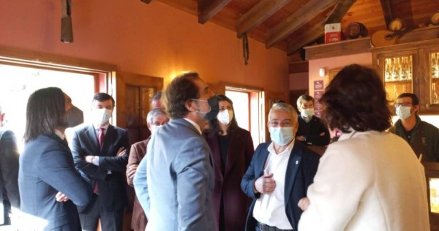 Adega do Pomar inaugurada hoje na Camacha (com fotos)