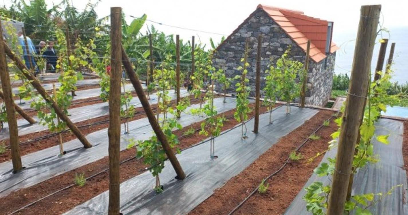 Meio milhão de euros reabilitam Casas do Laranjo (c/fotos)