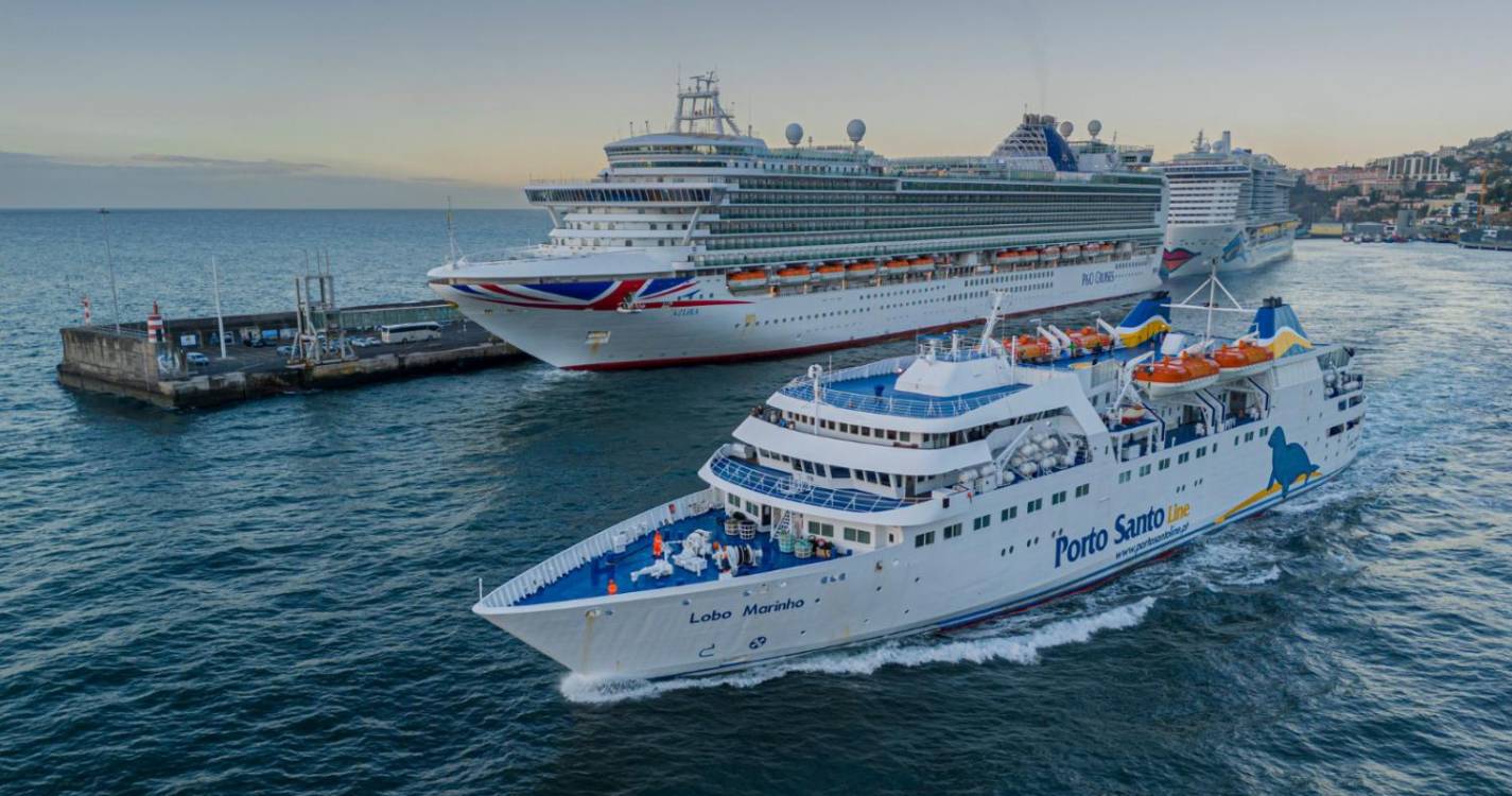 Visitantes habituais voltam a agitar as águas funchalenses esta segunda-feira