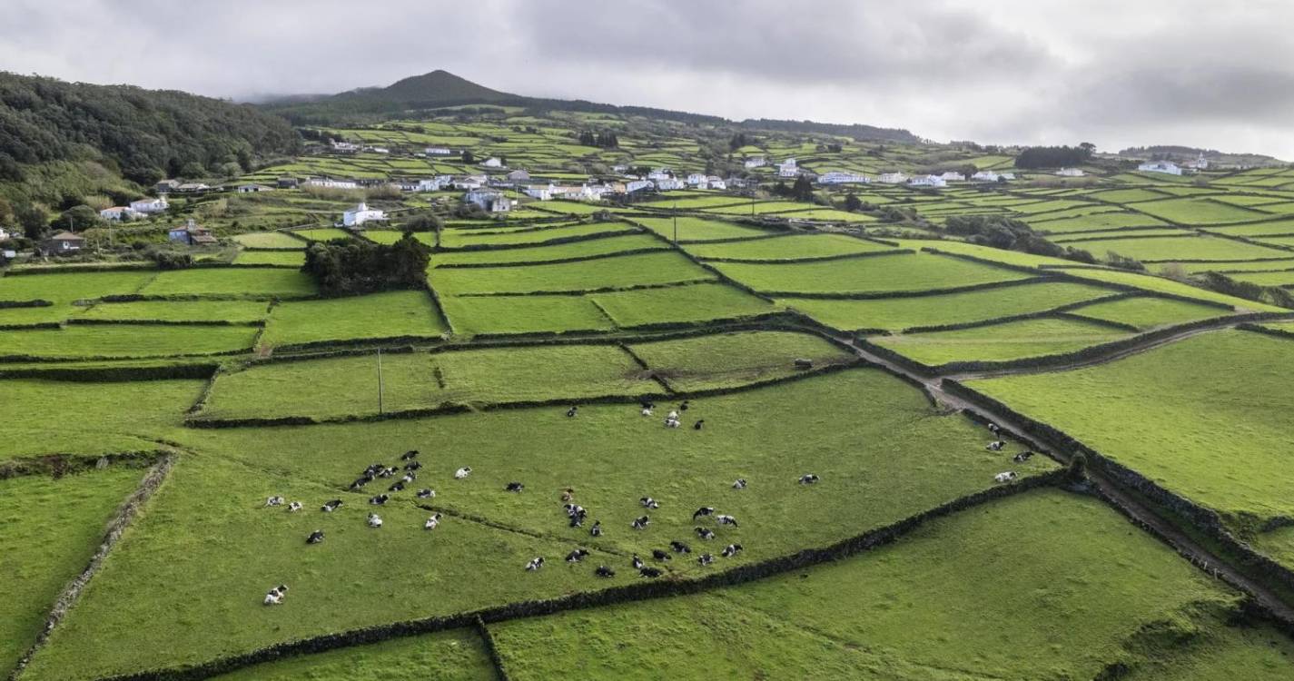 Sismo de magnitude 1,8 na escala de Richter sentido hoje na ilha Terceira