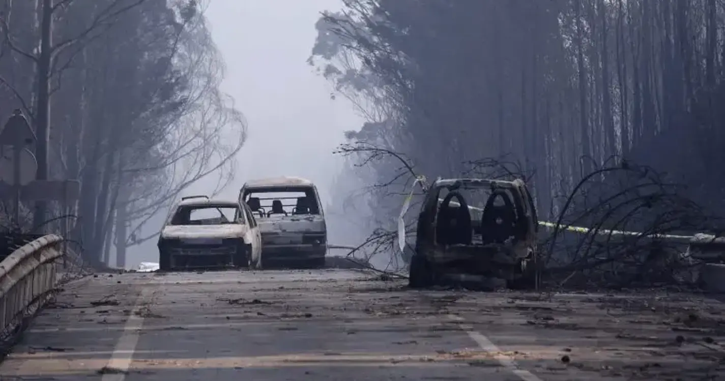 Tribunal absolve arguidos dos incêndios de Pedrógão Grande