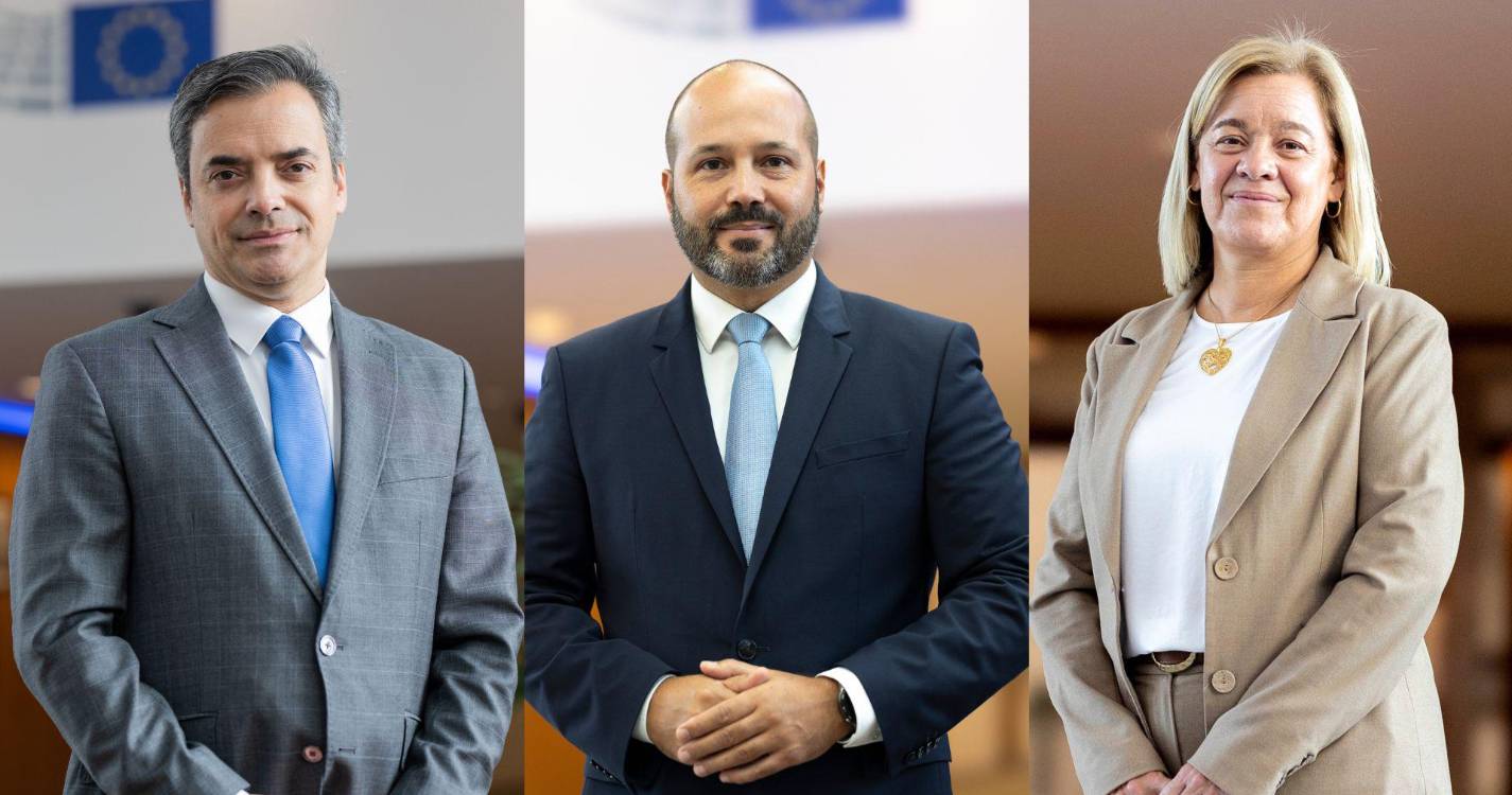 Parlamento Europeu reforça apoios à agricultura das RUP e aumenta verbas para as pescas