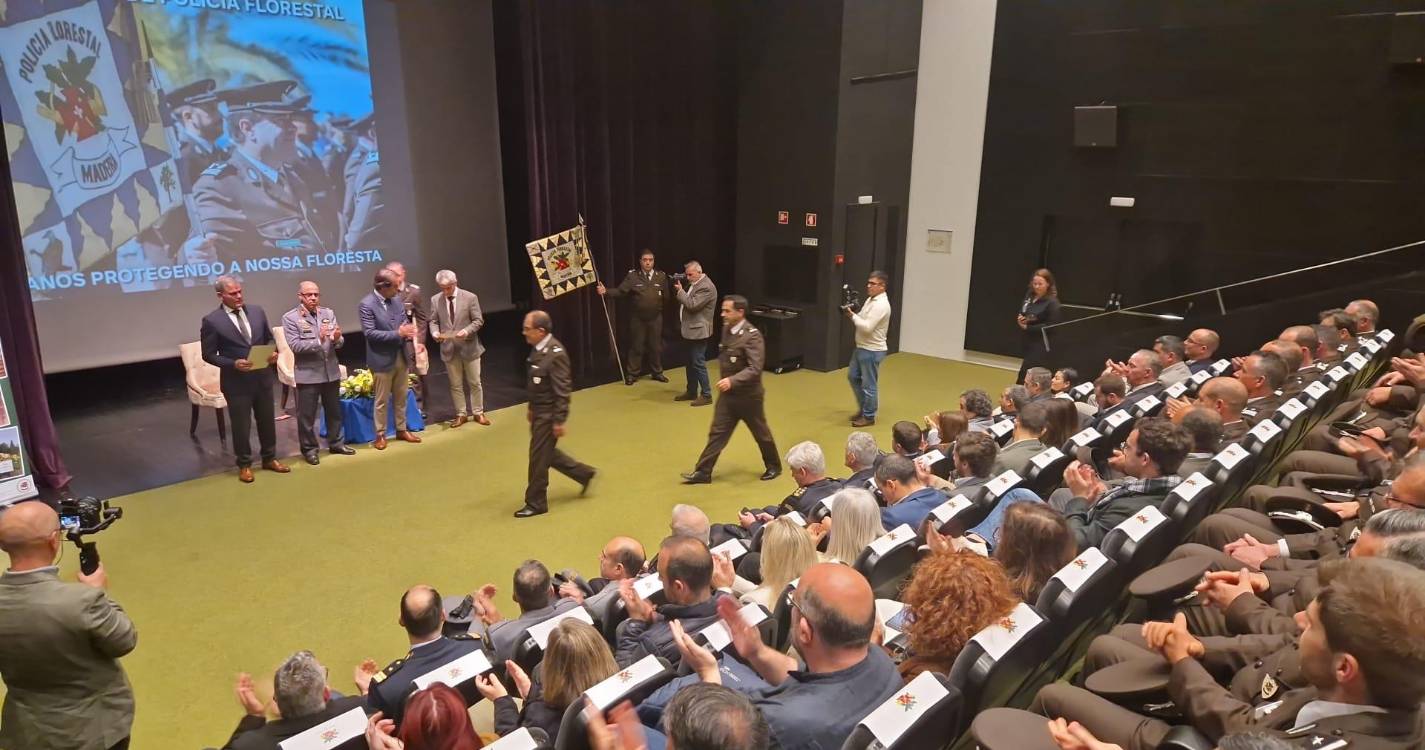 14 kms de vedação para soltar gado ordenado na faixa corta-fogo