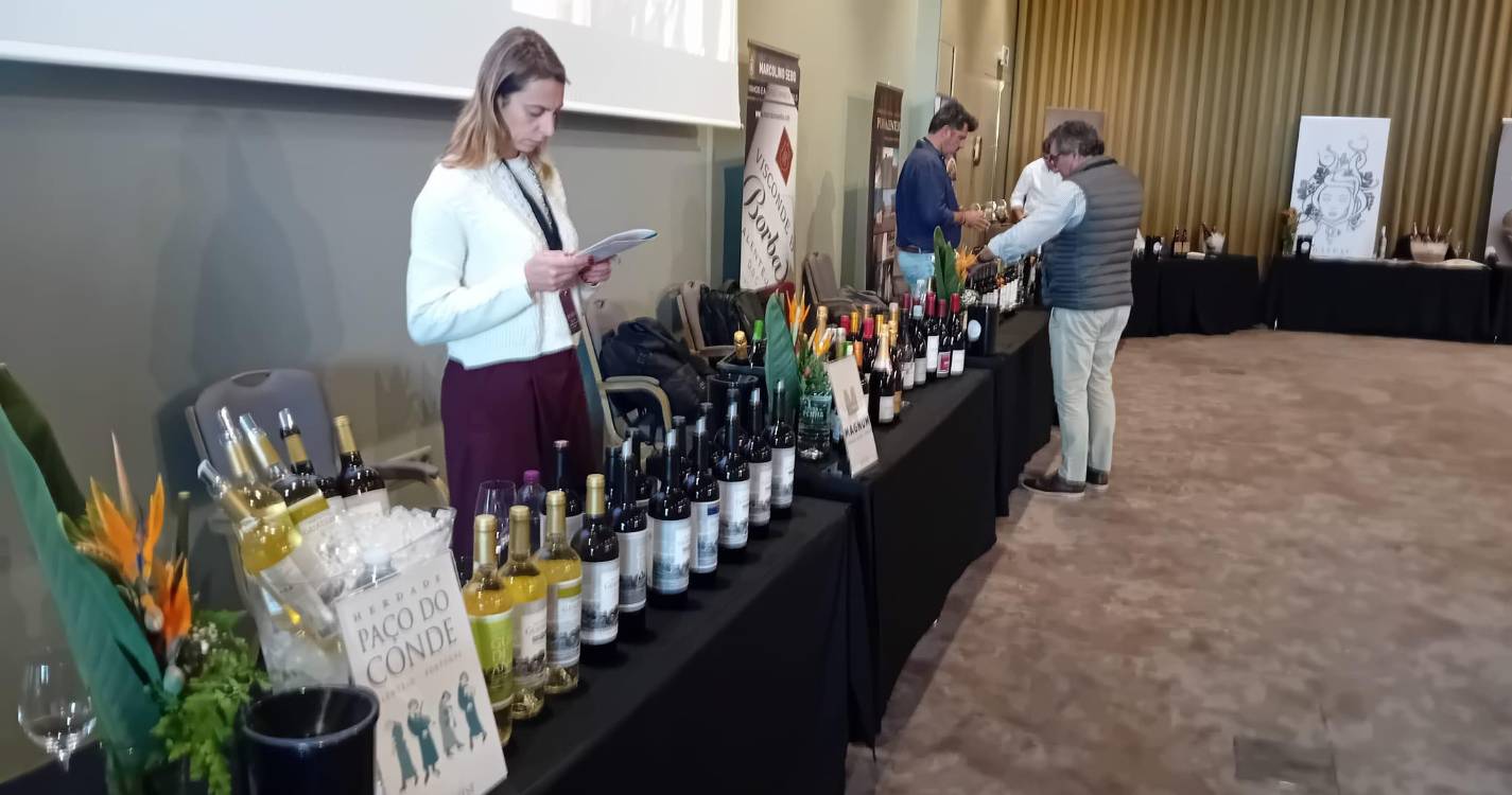 Pérola Wine Fest já abriu com 30 produtores e 400 vinhos em degustação (com fotos)