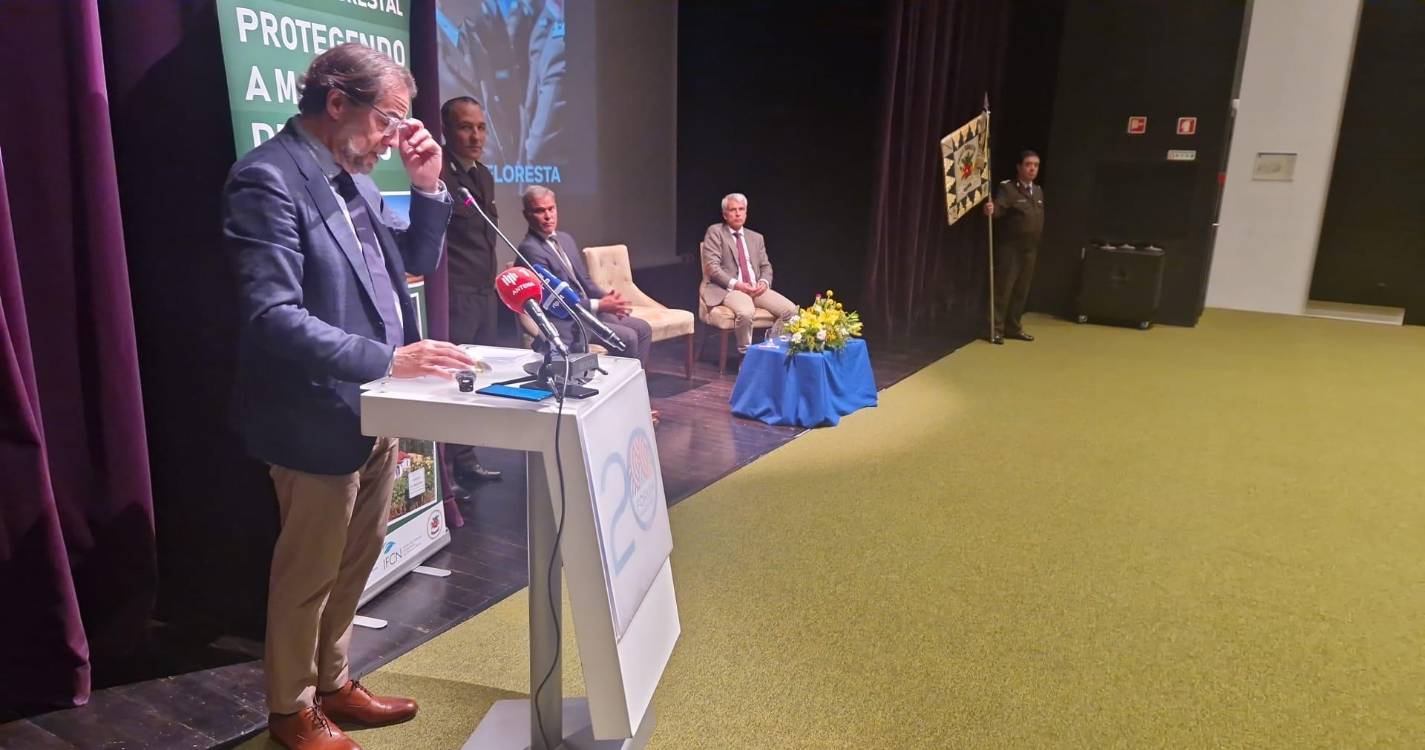 14 kms de vedação para soltar gado ordenado na faixa corta-fogo