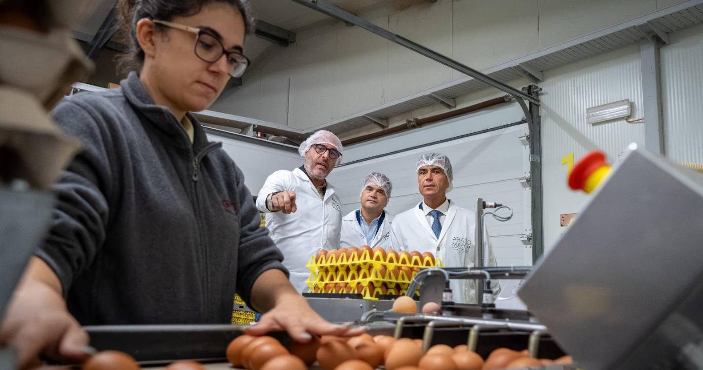 Arado Mayor espera produzir 14 milhões de ovos por ano nos Canhas