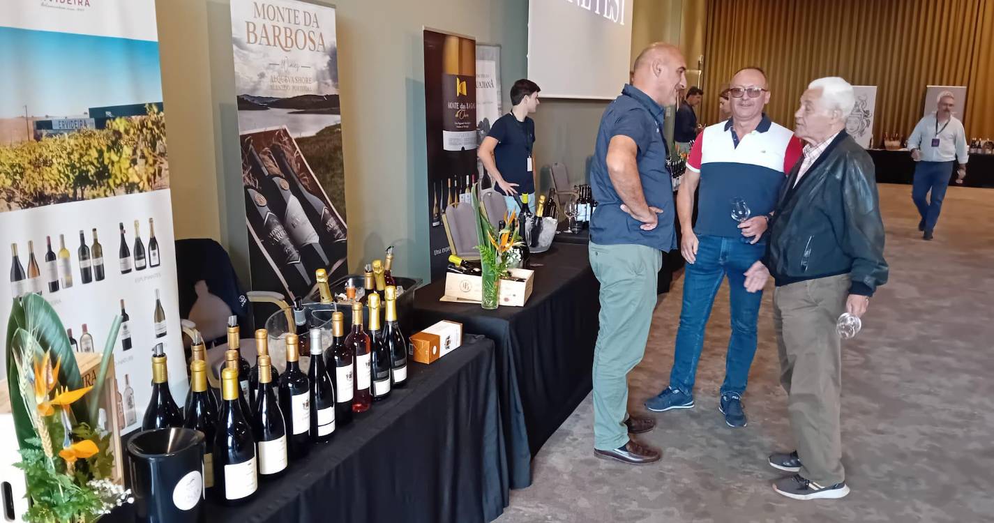 Pérola Wine Fest já abriu com 30 produtores e 400 vinhos em degustação (com fotos)