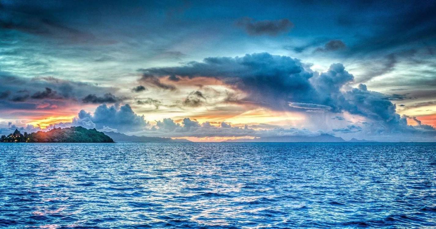 Iniciativa SOS Oceano fecha com mensagem de urgência