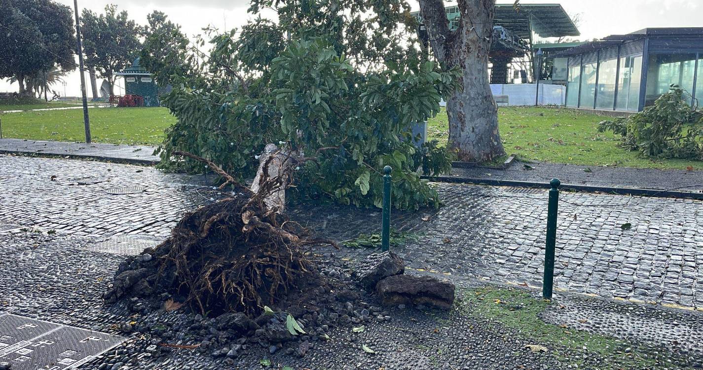Sobe para 185 o número de ocorrências provocadas pelo mau tempo na Madeira