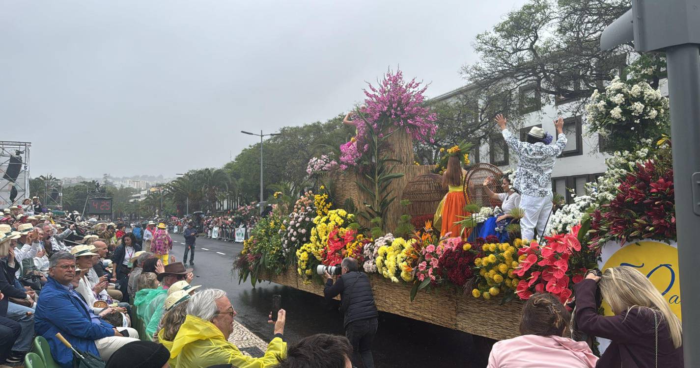 Chuva não impede boa afluência no primeiro cortejo da Festa da Flor (com fotos)