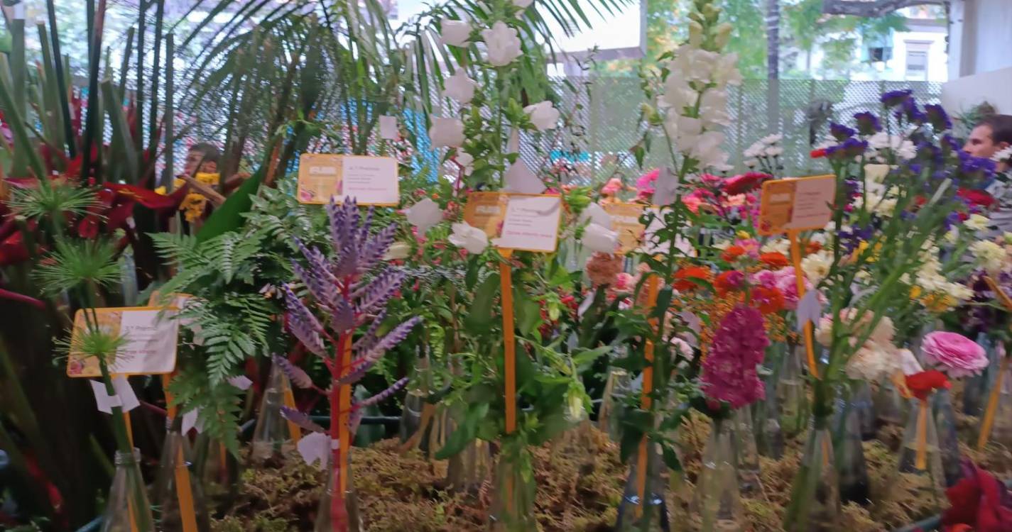 Exposição da flor já está aberta (com fotos)