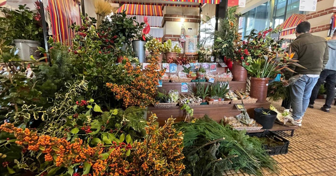 Veja as primeiras fotos do dia no Mercado dos Lavradores