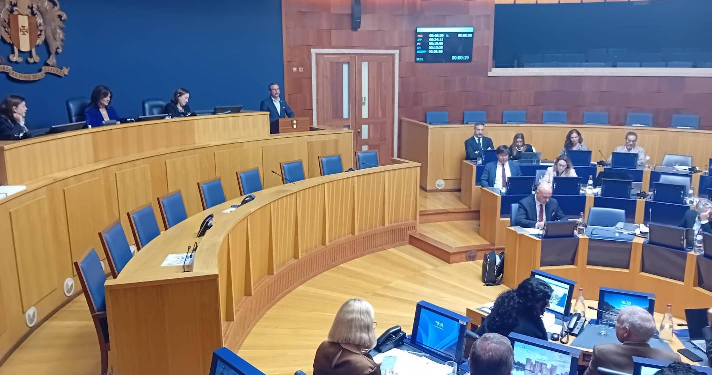 JPP defende apoios extraordinários para a banana e cana-de-açúcar