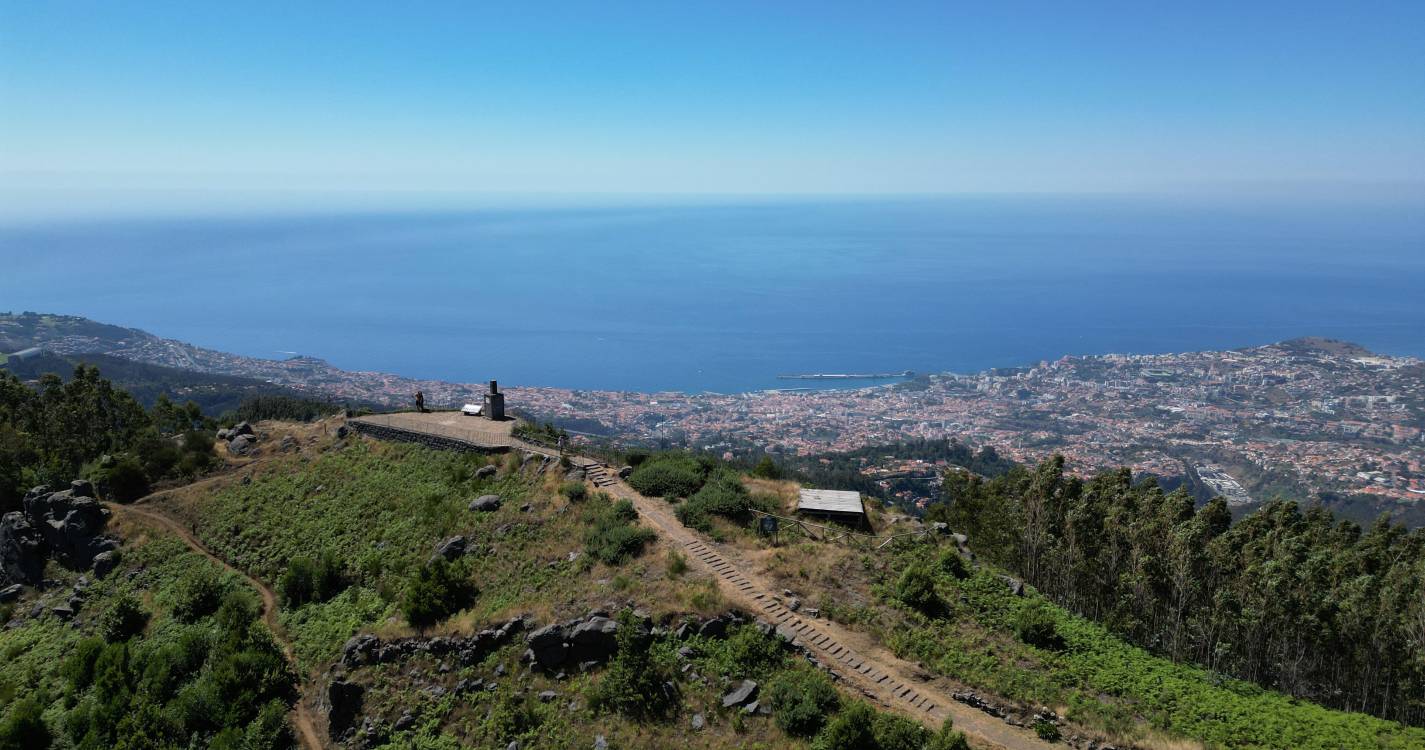 Insetos polinizadores e a sua importância nos ecossistemas em foco no Parque Ecológico