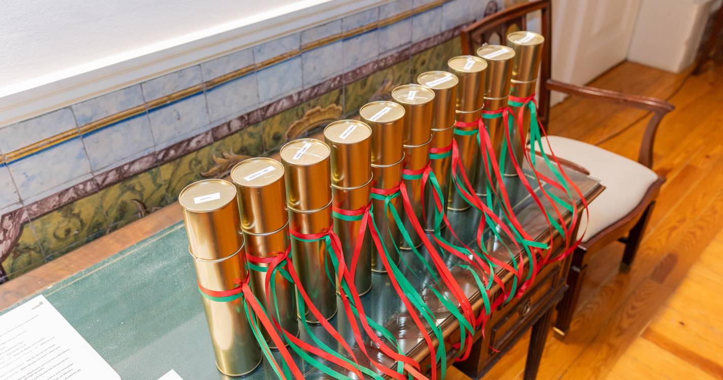 Clube de Produtores Continente comprou este ano 20 milhões de euros de frescos regionais (com fotos)