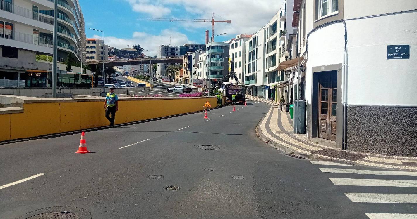 Corte de plantas condiciona trânsito na Rua 31 de Janeiro
