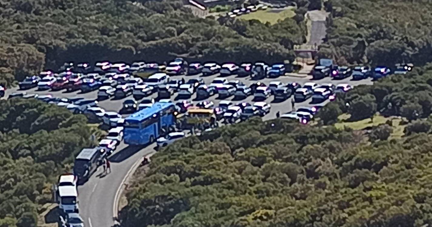 Achada do Teixeira volta a registar grande afluência esta manhã (com fotos)