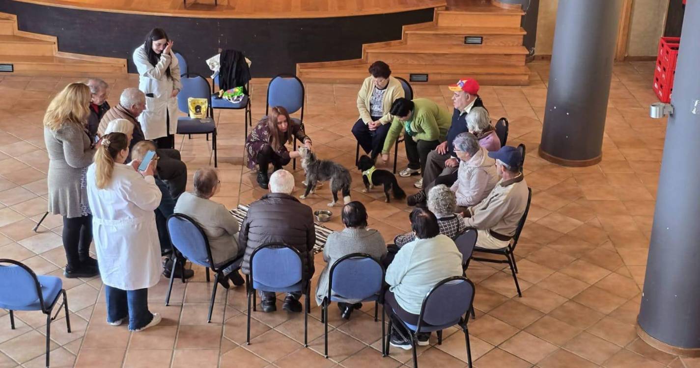 Intervenções com animais ganham espaço na promoção do bem-estar