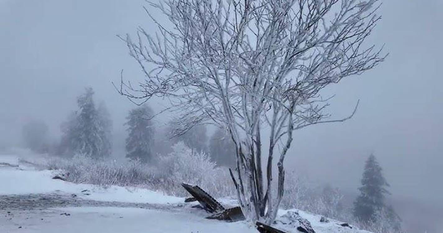 Aeroporto de Frankfurt cancela quase 100 voos devido à neve e ao gelo