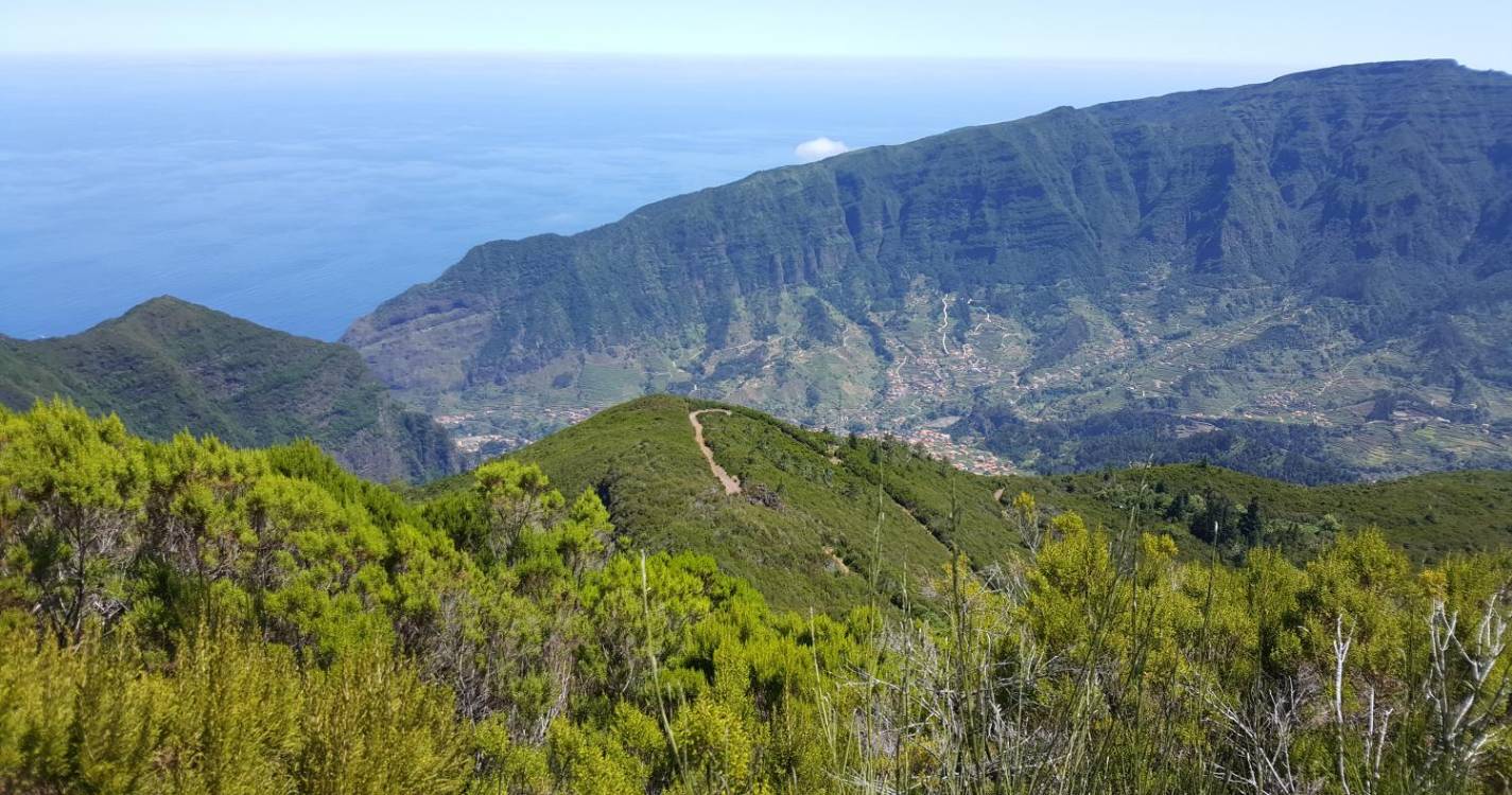 Associações de defesa da floresta Laurissilva satisfeitas com retirada da verba da estrada das Ginjas