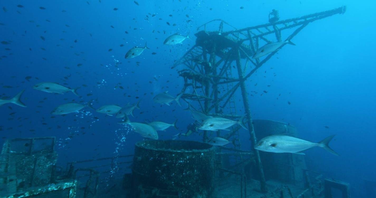 Madeira Underwater despede-se do Porto Santo (com vídeo e fotos)