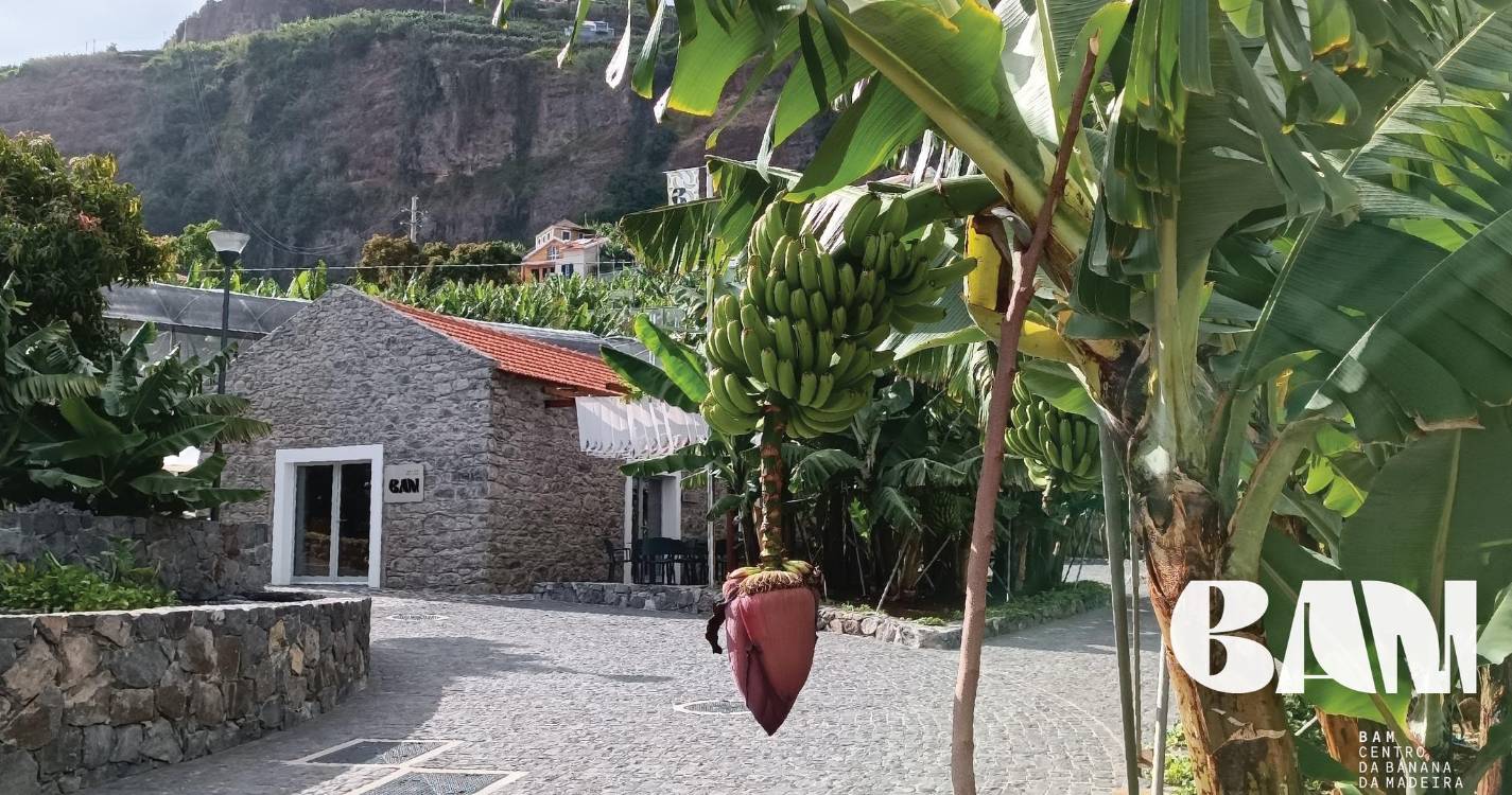 Museu da Banana da Madeira promove ‘Encontros de Artesanato no BAM’