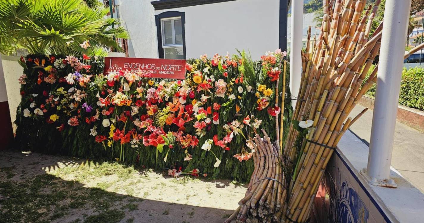 Veja o Muro da Esperança construído por alunos no Engenho do Porto da Cruz (com fotos)