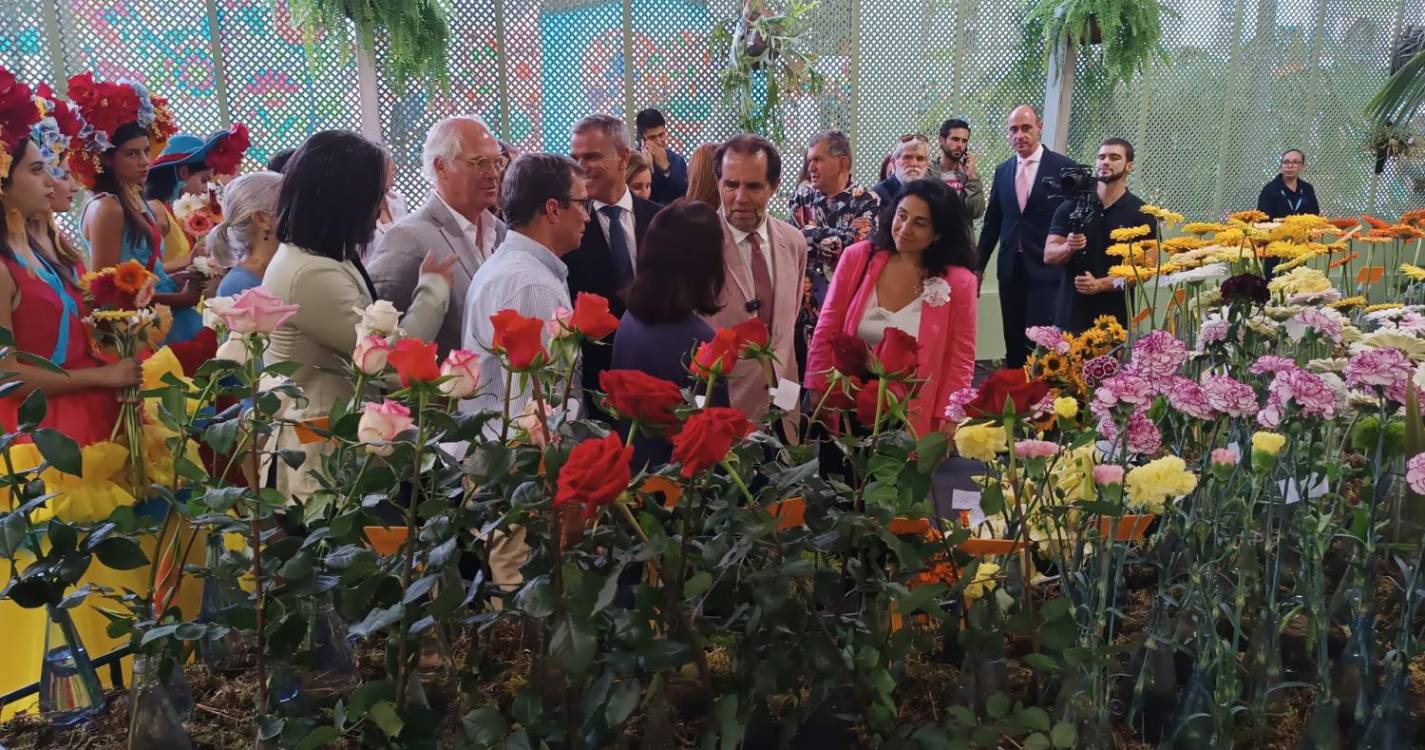 Exposição da flor já está aberta (com fotos)