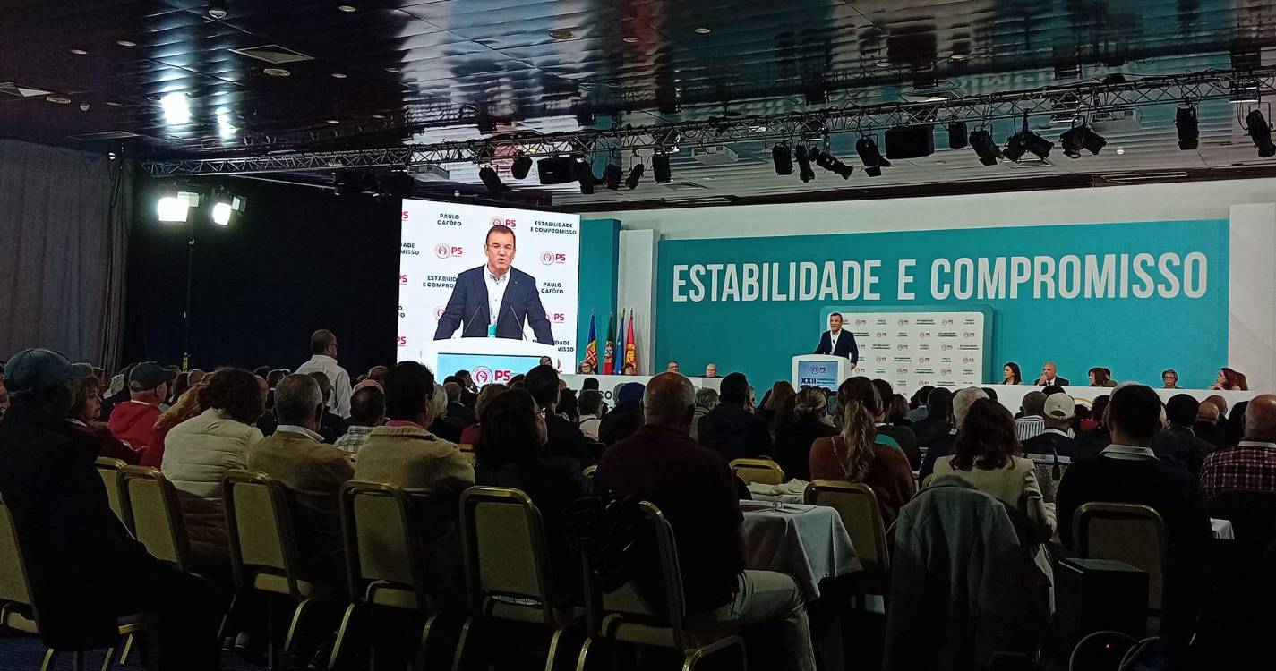 Rui Caetano: “O PSD está à rasca, porque sabe que vai perder o poder”