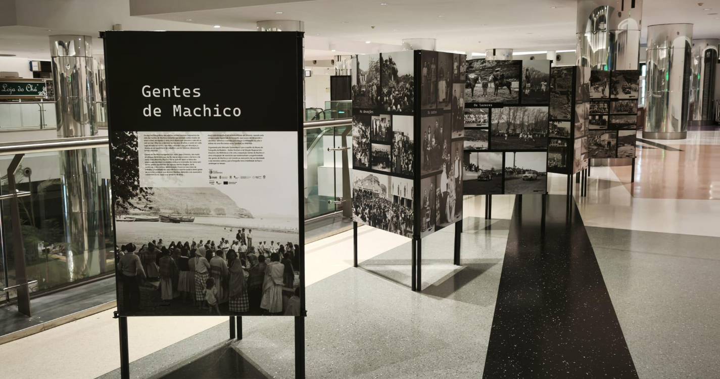 Mercado Quinhentista com duas exposições no centro comercial Plaza (com fotos)