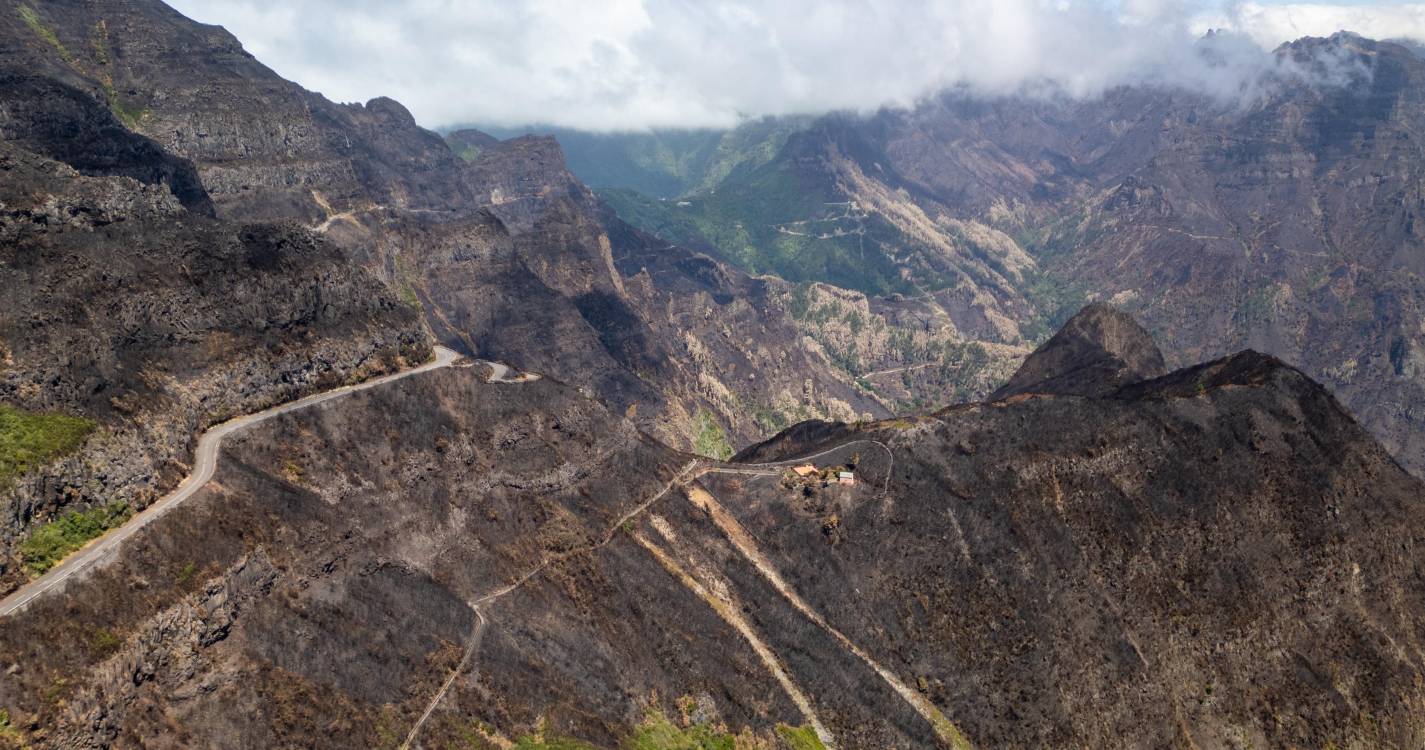 Incêndios: Madeira estuda recurso a drones para reflorestar áreas destruídas em agosto de 2024