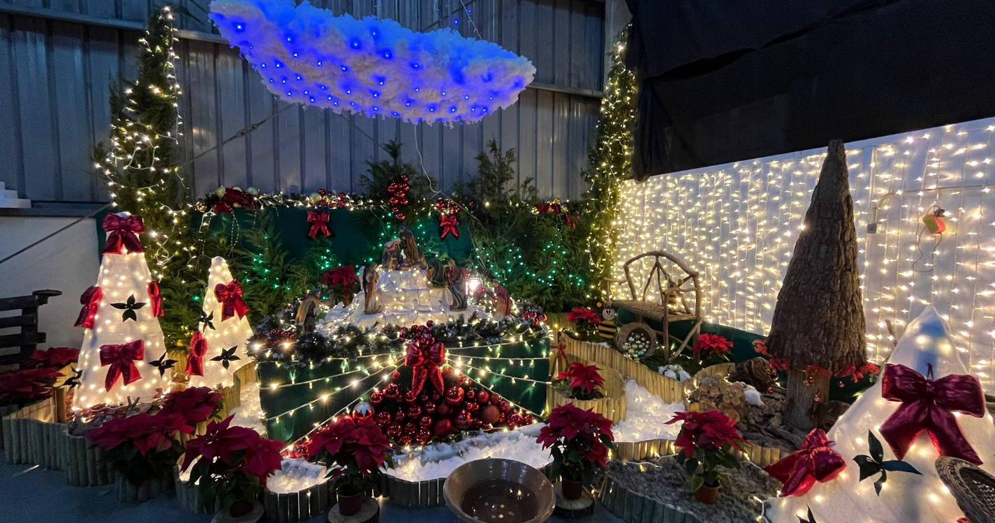 Noite do Mercado da Calheta já arrancou nos Prazeres